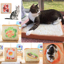 Creative Toast Bread Cushions for Cats and Small Dogs Pets Mat Sleep Soft Mattress Pad Kittens Special Bed