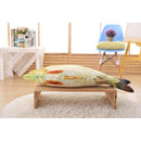 Pet Cat Toy Simulation Fish Interactive Kitten Chewing Scratching Play Fun Toys