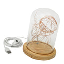 LED Firework Glass Gift Wood Base Touch Switch Table Desk Light Lamp Home Bedroom Decor Fashion Accessories Cover