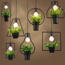Black Geometric Iron Ceiling Lamp Pendant Light Plants Flower Pots Light Fixture-Square