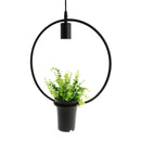 Black Geometric Iron Ceiling Lamp Pendant Light Plants Flower Pots Light Fixture