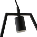 Black Geometric Iron Ceiling Lamp Pendant Light Plants Flower Pots Light Fixture