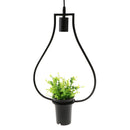 Black Geometric Iron Ceiling Lamp Pendant Light Plants Flower Pots Light Fixture