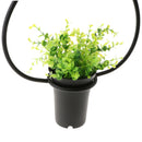Black Geometric Iron Ceiling Lamp Pendant Light Plants Flower Pots Light Fixture
