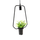 Black Geometric Iron Ceiling Lamp Pendant Light Plants Flower Pots Light Fixture