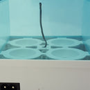 Mini Digital Clear Egg Incubator 4 Eggs Hatcher with LCD Display Automatic Temperature Control-EU Plug
