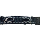 Pet Snack Bag Belt, Adjustale Waist Bag Belt, Training Pouch Pocket Clip Fastener