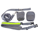 Dog Walking Lead with Strong Handle With Waist Purse Handsfree n Reflective