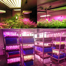 30W Led Grow Light Red&Blue Plant Lights High Brightness for Hydroponics System and Greenhouses Indoor Vegetable Flower Bloom Plant-EU Plug