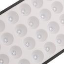 30W Led Grow Light Red&Blue Plant Lights High Brightness for Hydroponics System and Greenhouses Indoor Vegetable Flower Bloom Plant-EU Plug