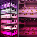 30W Led Grow Light Red&Blue Plant Lights High Brightness for Hydroponics System and Greenhouses Indoor Vegetable Flower Bloom Plant-EU Plug