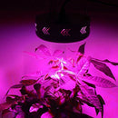 Round Panel LED Grow Light Plant Grow Lamp Bulbs Plant Growing Lamp for Hydroponic Aquatic Indoor Plants, EU Plug