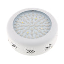 Round Panel LED Grow Light Plant Grow Lamp Bulbs Plant Growing Lamp for Hydroponic Aquatic Indoor Plants, EU Plug