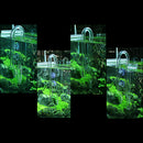 Heavy Duty Lily Pipe Inlet Lily Water Pipe for Aquarium Landscape Tank Fish Tank
