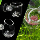 Aquarium Fish Tank Glass Feeding Cup Holder Oval Aquatic Feeder with Sucker
