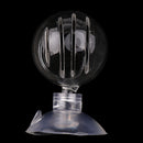 Aquarium Fish Tank Glass Feeding Cup Holder Oval Aquatic Feeder with Sucker