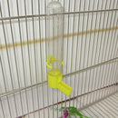 1Pcs Plastic Bird Pet Water Drinker Food Feeder w/ Clip for Lovebirds Aviary Budgie Parrot Random Color