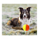 Fun Weasel Chases Jumping Rolling Motor Ball Toy for Pets Dog Cats Children