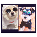 Fashion Pet Cat Dog Sunglasses Glasses Accessories Dog Cat Grooming