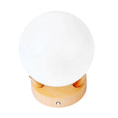 Cordless Bedside Lamp Night Light bulbs with USB Charging 7 Color Options