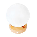 Cordless Bedside Lamp Night Light bulbs with USB Charging 7 Color Options