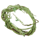 Bendable Reptiles Vine Green Jungle Climber Vines Terrarium Habitat Decor