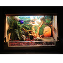Natural Rhododendron Wood Root with Artificial Vine Leaf- Creates Natural-looking Habitat for Reptile and Amphibian-DÃ©cor & Climbing Toy for Chameleons, Frogs, Geckos, Lizards