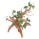 Natural Rhododendron Wood Root with Artificial Vine Leaf- Creates Natural-looking Habitat for Reptile and Amphibian-DÃ©cor & Climbing Toy for Chameleons, Frogs, Geckos, Lizards