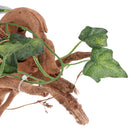 Natural Rhododendron Wood Root with Artificial Vine Leaf- Creates Natural-looking Habitat for Reptile and Amphibian-DÃ©cor & Climbing Toy for Chameleons, Frogs, Geckos, Lizards