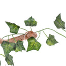 Natural Rhododendron Wood Root with Artificial Vine Leaf- Creates Natural-looking Habitat for Reptile and Amphibian-DÃ©cor & Climbing Toy for Chameleons, Frogs, Geckos, Lizards