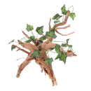 Natural Rhododendron Wood Root with Artificial Vine Leaf- Creates Natural-looking Habitat for Reptile and Amphibian-DÃ©cor & Climbing Toy for Chameleons, Frogs, Geckos, Lizards