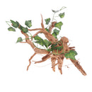Natural Rhododendron Wood Root with Artificial Vine Leaf- Creates Natural-looking Habitat for Reptile and Amphibian-DÃ©cor & Climbing Toy for Chameleons, Frogs, Geckos, Lizards