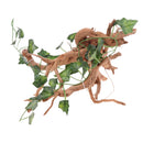 Natural Rhododendron Wood Root with Artificial Vine Leaf- Creates Natural-looking Habitat for Reptile and Amphibian-DÃ©cor & Climbing Toy for Chameleons, Frogs, Geckos, Lizards