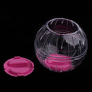 Hamster Crystal Clear Running Ball Grounder Jogging Durable Pet Exercise Toy