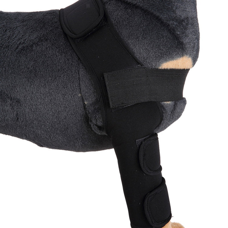 Dog Knee Joint Support Front Leg Compression Brace Protector Black - M