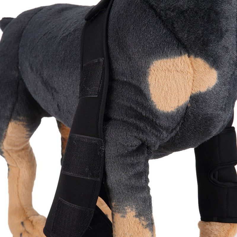 Dog Knee Joint Support Front Leg Compression Brace Protector Black - M