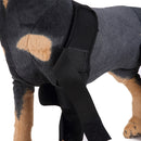 Dog Knee Joint Support Front Leg Compression Brace Protector Black - M