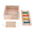 Wooden Platform?Swing and Ladder Set for Mouse, Chinchilla, Rat, Gerbil and Dwarf Hamster, Cage Toy Climbing Kits for Small Animals