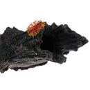 Aquarium Resin Tree Artificial Driftwood Decoration for Fish Tank Landscaping