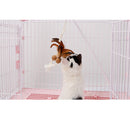 Fun Kitten Toy Cat Feather Cork Ball Sisal Rope Teaser Toy Pet Playing Props
