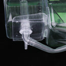 Clear Fish Breeding Isolation Box Tank Aquarium Auto Circulating Fish Hatchery Transparent 20 x 10x 12cm