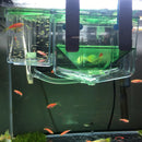 Clear Fish Breeding Isolation Box Tank Aquarium Auto Circulating Fish Hatchery Transparent 20 x 10x 12cm