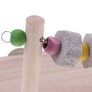Bird Cage Toys Parrot Parakeet Cockatiel Stand Wooden Stone Perches Toy