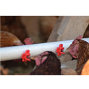 10PCS Automatic New Drinking Fountain for Chicken Horizontal Side Mount