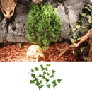 Sweet Potato Leaf Gecko Lizard Climber Vine Reptile Terrarium Plant Decor