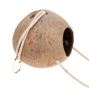 Bird Parrot Coconut House Nest with Climbing Ladder For Coconut Toy Exercise Play Squirrels Dwarf Hamster Mice Guinea Pig Cage Swing