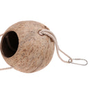 Bird Parrot Coconut House Nest with Climbing Ladder For Coconut Toy Exercise Play Squirrels Dwarf Hamster Mice Guinea Pig Cage Swing