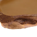 Reptile Food Water Dish Bearded Dragon, Gecko, Morio Meal Worm Feeder
