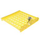 Automatic Egg Incubator 56 Eggs Turner Tray Chicken Quail Duck With 220V