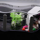 USB Desktop Mini Fish/small fry Tank Aquarium with LED Clock, and Multicolor LED interior lights Automatic Change